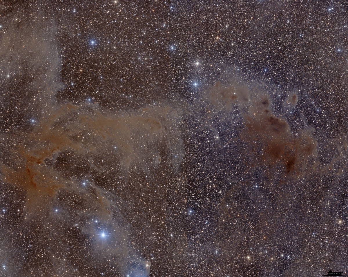 Dust and Gas in Chamaeleon Mosaic