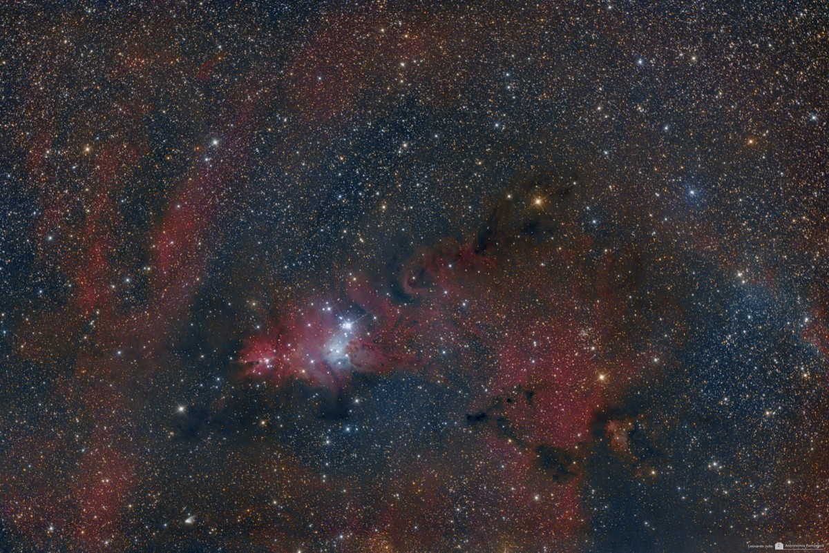 NGC 2264 The Cone Nebula