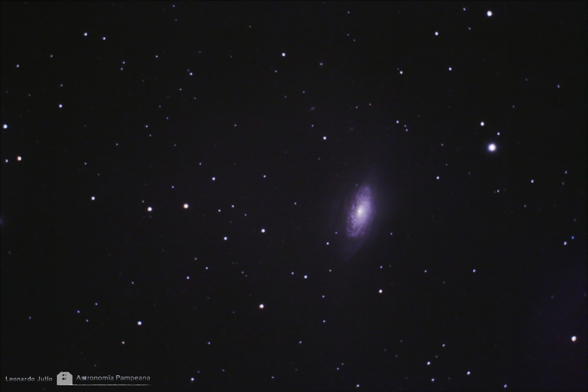 NGC 3521 Spiral Galaxy