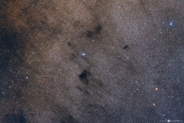 B 53 and B 50 Dark Nebula