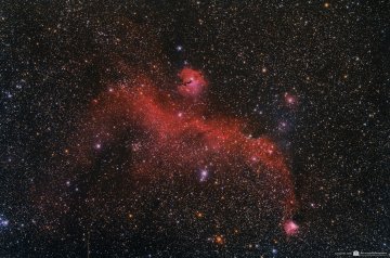 IC 2177 Seagull Neb