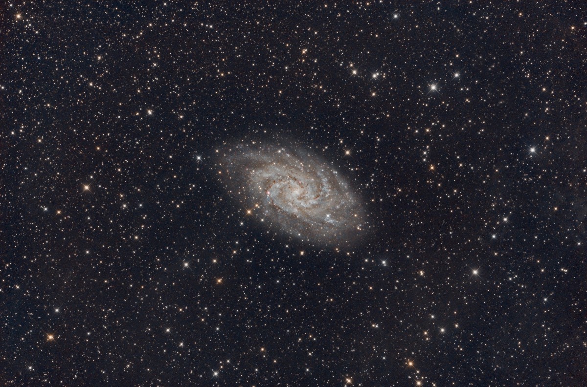 M33 The Triangulum Pinwheel Galaxy