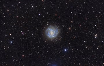 M 83 Galaxy
