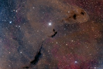 Dust and Gas in Ophiuchus