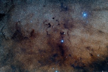 Barnard 72 Snake Nebula